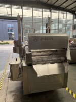 Op maat gemaakte complete productielijn voor het verwerken van gefrituurd voedsel, zoals aardappelchips, kip, vis, en machines voor het paneermeel en het bespatten.