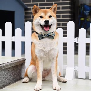 신랑 레드 세트 멋진 고양이 크리스마스 트리 세트 원피스 하네스 뼈 스타킹 삼베 머리 파스텔 넥타이 개 애완 동물 가죽 활 - Product Image 2