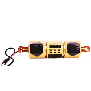 Factory Sell Subwoofer Gold Color Horn Motorcycle MP3 Player