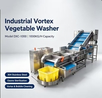 DXC-1000 Wervelstroom groentewasmachine 4KW Industriële fruit-, bladgroente- en wortelgroentewasser voor voedselverwerkingsfabriek