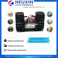 Pompe à vide à double tête à micro-diaphragme, mini-pompe industrielle électrique 12V/24V à haut débit, fourniture OEM et ODM directe usine
