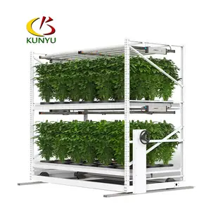 Kygreenhouse vertikales hydroponisches System medizinischer Pflanzenzucht-Rack Container Anbau von Hanfsamen Gewächshaus für Anpflanzung