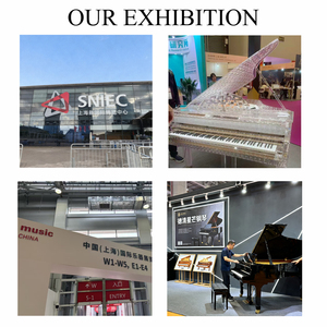 Pianoforte Meccanico a Coda Serie Pegasus a 88 Tasti Nero Personalizzato di Alta Gamma per Decorazione e Performance in Hall d'Albergo - Product Image 4