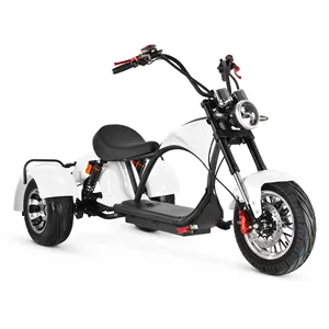 2021 Desain Baru Pabrik Fashion Klasik Citycoco Skuter Harga Tiga Roda Sepeda Roda Tiga Listrik