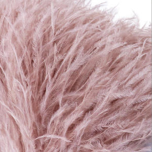 Personnalisation en gros de franges de plumes d'<span class=keywords><strong>autruche</strong></span> de luxe, garniture de 15-18 cm de plumes d'<span class=keywords><strong>autruche</strong></span> sur cordon pour accessoires vestimentaires - Product Image 3