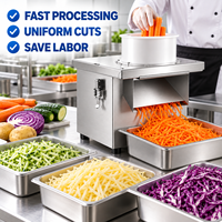 Machine à hacher les légumes professionnelle en acier inoxydable, hachoir électrique pour carottes et pommes de terre, coupe de 2 à 10 mm pour les cuisines de restaurants