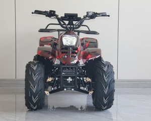 Scooter <span class=keywords><strong>électrique</strong></span> haute performance à 4 roues, tout-terrain, transmission automatique par arbre, 2 roues motrices, certifié CE, <span class=keywords><strong>quad</strong></span>, VTT tout-terrain - Product Image 2
