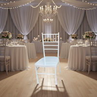 Chaise Chiavari Moderne en Acier Empilable et Portable pour Appartement, Salle à Manger, Mariage et Banquet – Vente en Gros Populaire