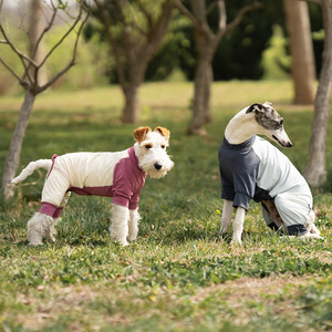 <span class=keywords><strong>Chaleco</strong></span> Refrigerante <span class=keywords><strong>para</strong></span> Perros, Estilo 2026, Ajustable, <span class=keywords><strong>para</strong></span> Verano y Actividades al Aire Libre - Product Image 5