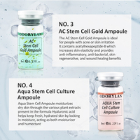 Serum Anti Penuaan, produk perawatan kulit profesional Serum Anti Penuaan wajah Bb Serum asam Hyaluronic Booster Kit pemula