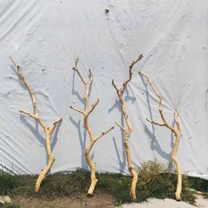 Cành cây khô sỉ, nhiều kích cỡ, dùng trang trí trần nhà, làm móc treo quần áo, quà tặng tốt nghiệp, quà tặng Ngày của Cha, quà tặng Ngày của Mẹ - Product Image 4