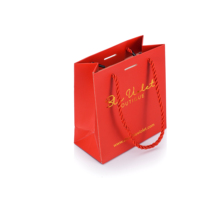 Sac haut de gamme d'emballage de thé au café robuste biodégradable recyclable, sac d'emballage de couverture de grande taille