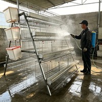 Fabricants chinois : Vente en gros de nouvelles cages à poulets pondeuses automatiques en acier inoxydable de type H pour l'élevage en ferme