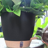 Pot bunga plastik dekorasi meja dalam ruangan, Pot bunga Polipropilena otomatis untuk penggunaan rumah