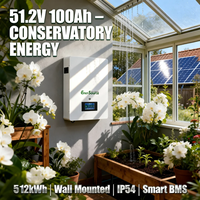 Baterai Lithium 51.2V 48V 100Ah 5kWh untuk Sistem Surya Hibrida yang Dipasang di Dinding