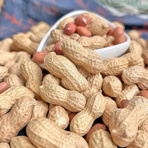 Servicio OEM de Cacahuetes Crudos en Cáscara a Granel en Bolsas Tejidas para Marcas de Frutos Secos de Marca Privada - Product Image 4