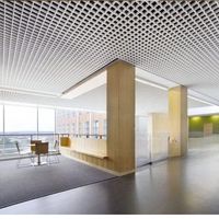 Plaques de plafond décoratives en aluminium, plafond suspendu, faux plafond, grilles métalliques
