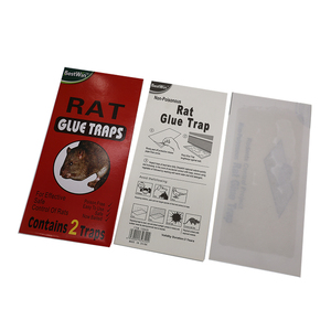 Trampas Adhesivas Desechables de Papel con Adhesivo Fuerte para Ratones y Ratas, Trampa de <span class=keywords><strong>Pegamento</strong></span> para Ratones, Venta al Por Mayor de Fábrica - Product Image 1
