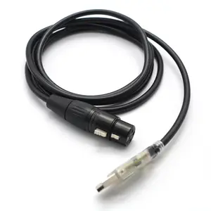 Cavo per microfono USB, cavo convertitore da XLR femmina a USB Mic Link per microfoni o registrazione Karaoke Sing,10 piedi (da USB a XLR)