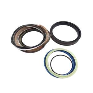 ערכת תיקון אטם שמן צילינדר DYN 31Y1-34010 עבור מחפר R505-7 לזרוע כף במלאי - Product Image 3