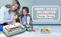 Incubateur d'œufs de volaille WONEGG avec ajout automatique d'eau pour 20 œufs - Promotion