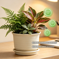 Pot de fleurs minimaliste en PP avec trou de drainage, durable, capacité de 0,34 L, pour la maison, le jardin et le bureau