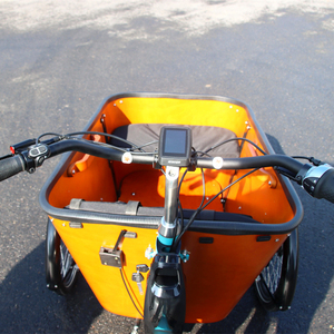 2024 500w mi entraînement moteur Cargo <span class=keywords><strong>vélo</strong></span> ceinture dent chaîne balançoire fonction Bakfiets électrique Cargo vélos pour 4 enfants - Product Image 5