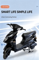 2000W Electric Motor Bike Scooter Durable Bicicleta Electrica Rear Hub Motor E Moto Motorcycle bicycle