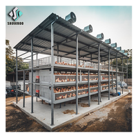 Estructuras de Acero para Granjas Avícolas, Diseño de Gallineros Comerciales, Tipos de Gallineros