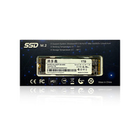 M.2 NVME NGFF SSD 128GB 256GB 512GB PCle 3.0 NVMe M.2 2280 laptop penyimpanan hard State M.2 SSD 1TB SATA M2