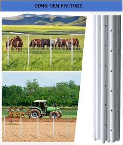 מוט גדר פיברגלס מלא 20 מ\\\"מ, אורך 1.2-2.7 מטר, דוגמא עגולה חלקה, לבניית גדר חשמלית, שירות חיתוך כלול - Product Image 3