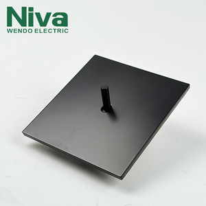 Interruptor de Pared Niva para Hogar/Hotel, <span class=keywords><strong>1</strong></span> Grupo, <span class=keywords><strong>2</strong></span> Vías, Panel de Acero Inoxidable, Metálico Moderno, 10A, Estándar del Reino Unido - Product Image 1
