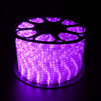 Bande lumineuse LED de 100 m, étanche, pour extérieur, néon flexible, décorative, pour Noël, bande lumineuse LED ronde pour Noël