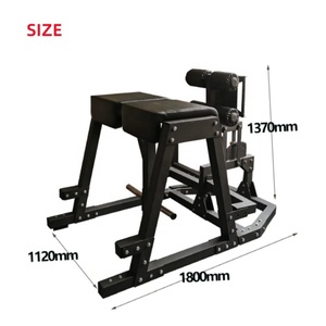 Banco de Fitness de alta calidad, Combo desarrollador de Glute Ham, silla romana ajustable comercial, máquina de reversa, hiperextensión - Product Image 2