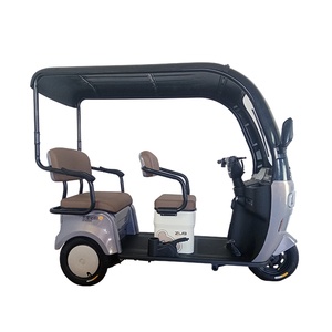 <span class=keywords><strong>Europa</strong></span> Alemania Australia <span class=keywords><strong>3</strong></span> ruedas 650W triciclo eléctrico superpotente para adultos 1 pieza con techo - Product Image 2