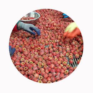 जैविक ताजा जमे हुए हॉथोर्न बेरी नई फसल चीनी फल iqf ठंड प्रक्रिया थोक पैकेजिंग - Product Image 5