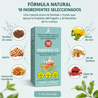 Édition espagnole – 18 extraits de plantes aromatisés pour le foie – Essences nourrissantes – Compléments à base de plantes en sachet – Fournitures de soins de santé