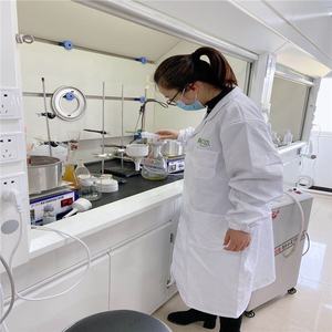 Лучшая цена Oktakis (тетраметиламмоний)-T8-silisesquioxane CAS 69667-29-4 производные POSS - Product Image 4