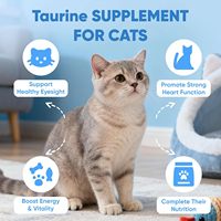 Complément Protéiné à Haute Teneur en Taurine pour Chats et Chiens – Soutien Cœur, Vision, Peau, Pelage et Immunité – Poudre de Taurine Sans Arôme – Tous Âges, Chatons, Grands Chiens