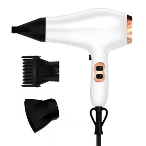 New Product Factory Direct Sales Professional hair dryers with Factory Price