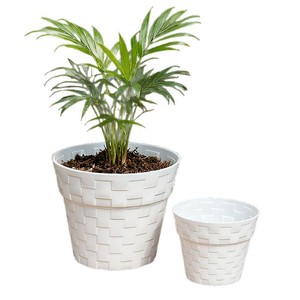 Pots de plantes en plastique à motif circulaire, ensemble de pots à succulentes modernes multi-tailles, pots de fleurs décoratifs pour la maison, jardinage intérieur et extérieur - Product Image 5