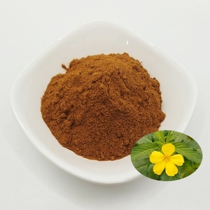 Экстракт Дамианы 100:1, пищевой, водорастворимый порошок, концентрированный, полученный методом экстракции растворителем, вакуумная упаковка в бочках - Product Image 1