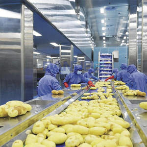 Ligne de production de frites de pommes de terre automatisée de haute qualité OEM, équipement de transformation des pommes de terre, production de frites surgelées - Product Image 3