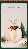 Collier personnalisé pour chat et chien, motif dessin animé, accessoires pour animaux de compagnie, collier tressé mignon, décoration de Noël, tricot en fibre acrylique