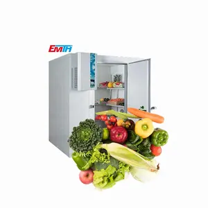 Fish cold room storage/Refrigerator freezer/walk in cold room