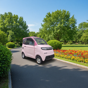 Mini véhicule électrique, un véhicule électrique à quatre roues pour adultes, largement vendu en Chine. - Product Image 1