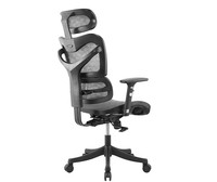 Chaise de bureau en maille moderne et confortable, pour ordinateur, à dossier central, idéale pour un bureau