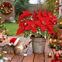 Bouquet de Poinsettias Artificiels de Noël Têtes de Fleurs en Velours Aiguilles de Pin Ornements de Noël Style Européen et Américain
