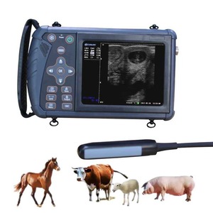 Modo B, Modo BB, Modo Cuatro B, Modo BM y Modo M para Exámenes Reproductivos y Abdominales, Escáner de Ultrasonido Veterinario - Product Image 2