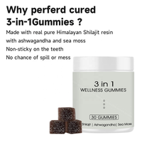 ACORN Honey Flavor Himalayan Shilajit Resin Gummy Supplément Boost Energy 3 en 1 Gummies Santé
